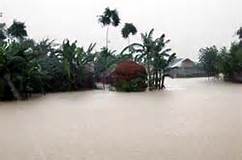 গাইবান্ধায় ২৫ হাজার মানুষ পানিবন্দী
